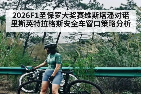 2026F1圣保罗大奖赛维斯塔潘对诺里斯英特拉格斯安全车窗口策略分析